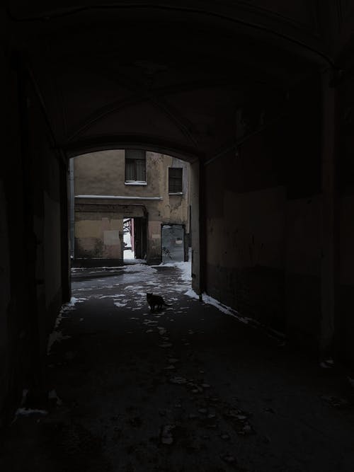 有关不动产, 住, 住宅的免费素材图片