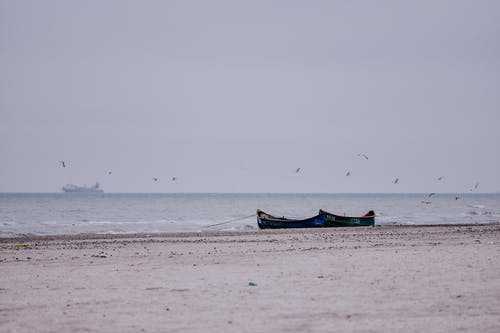 有关Copyspace, 冷静, 和平的的免费素材图片