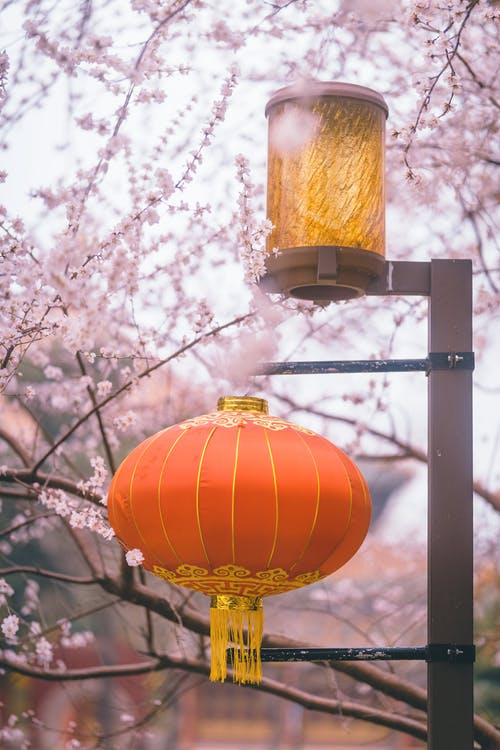 有关中国灯笼, 传统, 圆形的免费素材图片