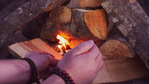 有关人, 升火的木柴, 圆木条的免费素材图片