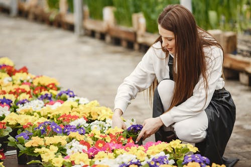 有关修剪花草, 坐下, 女人的免费素材图片