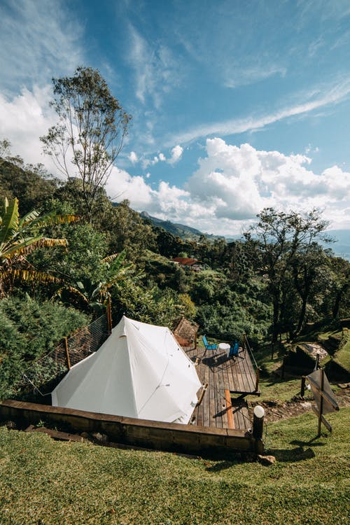 有关垂直拍摄, 场景, 增长的免费素材图片