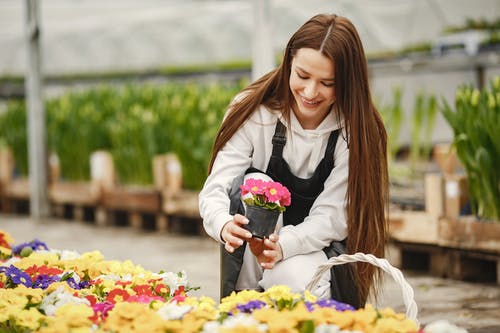 有关修剪花草, 坐, 女人的免费素材图片