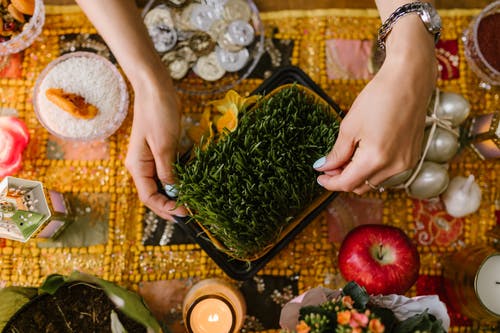 有关ha犯罪, norooz, novruz的免费素材图片