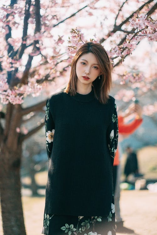 有关优雅, 公园, 冷静的免费素材图片