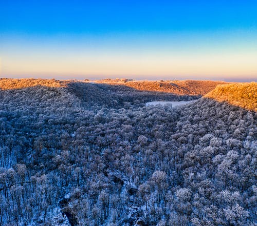有关冬季, 冷, 地平线的免费素材图片
