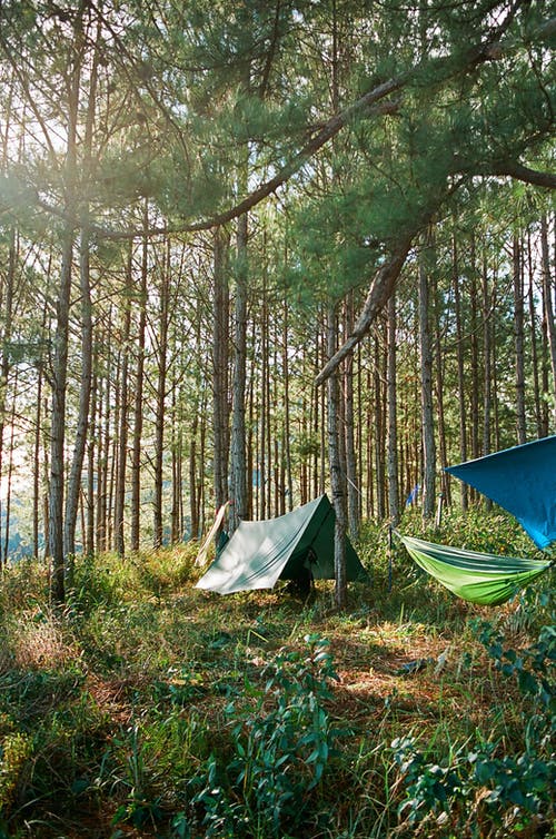 有关十, 吊床, 垂直拍摄的免费素材图片