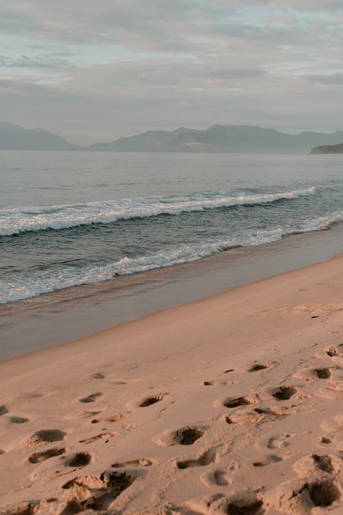 有关垂直拍摄, 天性, 岸邊的免费素材图片