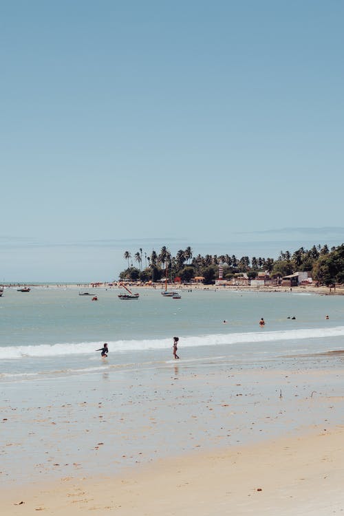 有关垂直拍摄, 夏天, 天性的免费素材图片