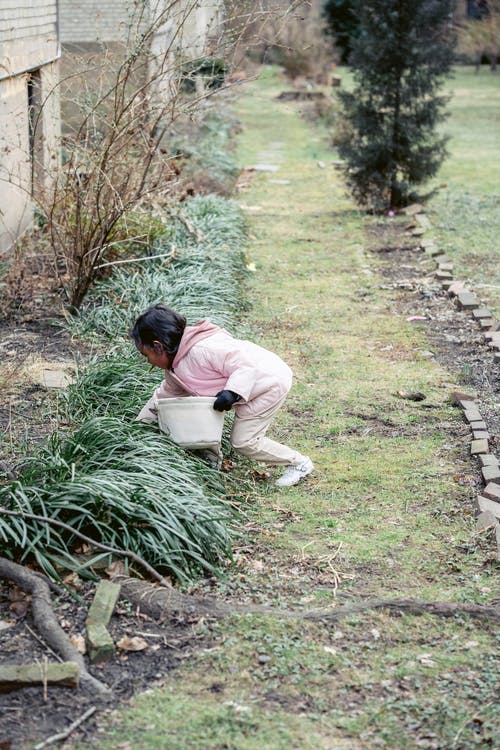 有关不露面, 世代, 个性的免费素材图片