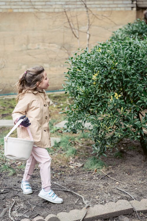 有关世代, 事件, 假日的免费素材图片