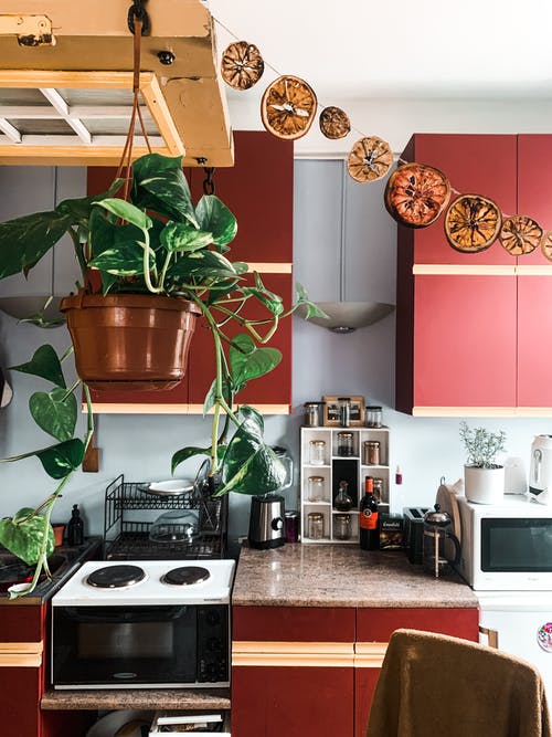 有关乾燥, 住宅, 元素的免费素材图片