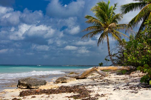 有关夏天, 多明尼加共和国, 天堂的免费素材图片