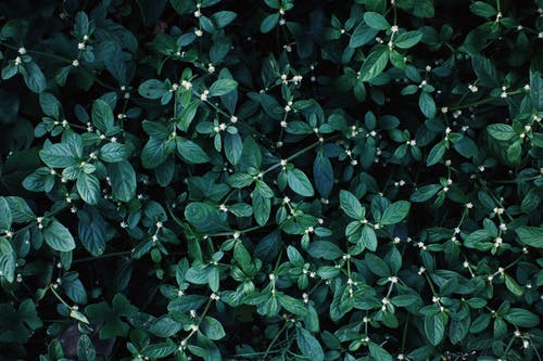 有关Copyspace, 全画幅, 地平线的免费素材图片