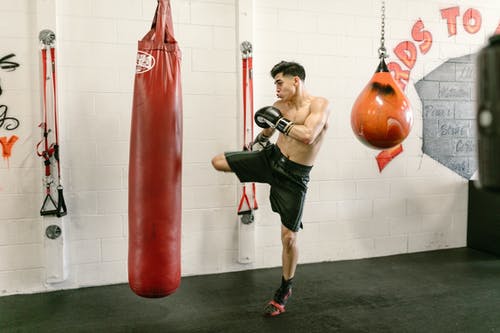 有关人, 健身, 健身房的免费素材图片