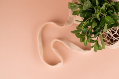 有关Copyspace, 一般开销, 布局的免费素材图片