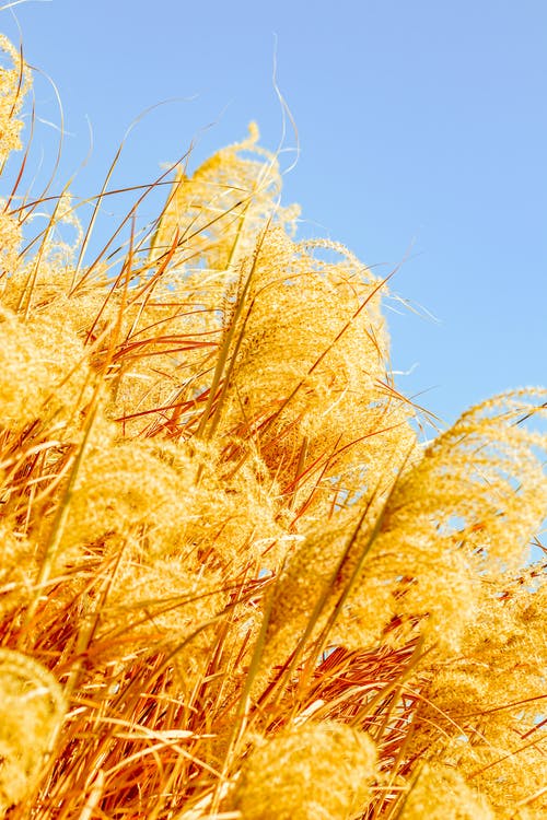 有关垂直拍摄, 户外, 明亮的免费素材图片