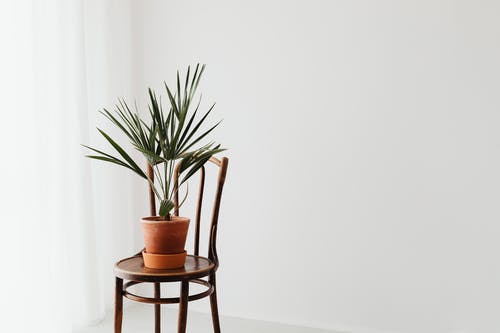 有关室内, 木椅, 极简主义的免费素材图片
