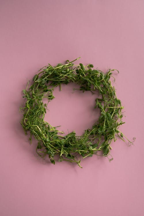 有关Copyspace, 作文, 俯视图的免费素材图片