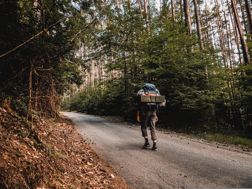 有关人, 冒险, 天性的免费素材图片