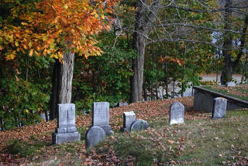 有关下落, 墓園, 墓地的免费素材图片