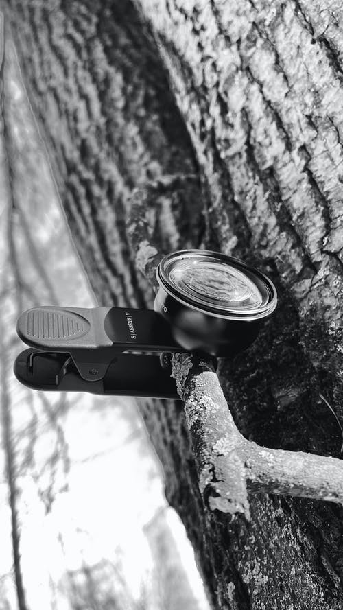 有关产品摄影, 单色, 垂直拍摄的免费素材图片