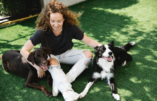 有关一起, 享受, 休息的免费素材图片