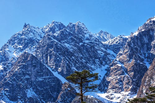 有关冬季, 冷, 大雪覆盖的免费素材图片