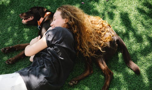 有关一起, 享受, 休息的免费素材图片