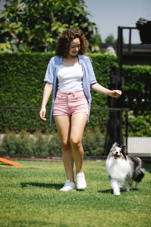 有关一起, 伴侣, 内容的免费素材图片