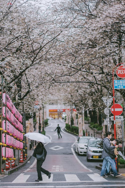 有关休闲, 侧面图, 公园的免费素材图片