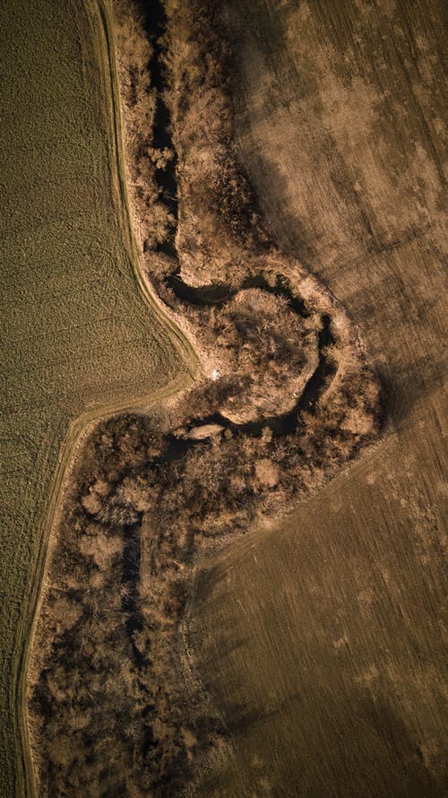 有关俯视图, 农艺学, 原本的免费素材图片