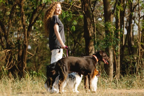 有关休闲, 内容, 动物的免费素材图片