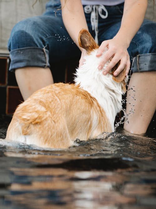 有关一起, 不露面, 伴侣的免费素材图片