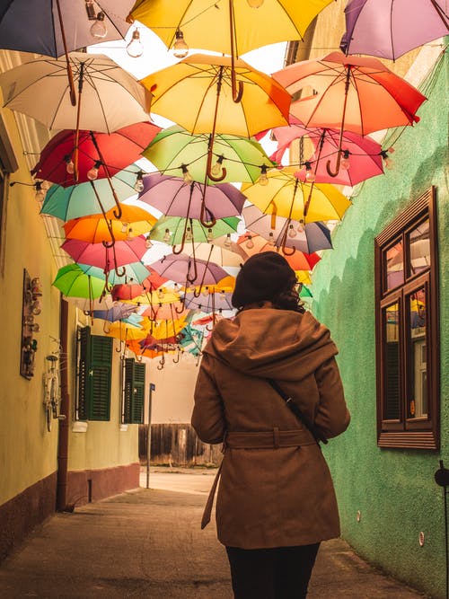 有关不动产, 不露面, 从下面的免费素材图片