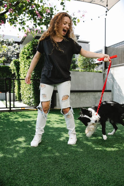 有关伴侣, 全身, 动物的免费素材图片