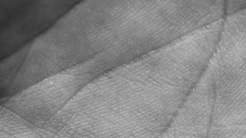 有关单色, 图案, 布的免费素材图片