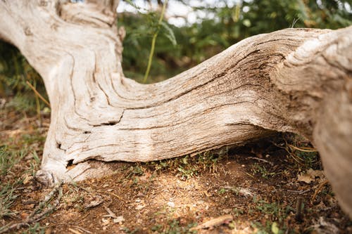 有关乾的, 元素, 光束的免费素材图片