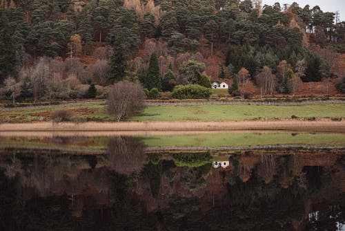 有关下落, 反射, 反映的免费素材图片