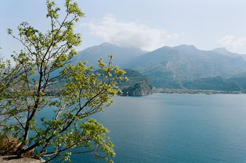 有关僵硬, 和平的, 土耳其蓝的免费素材图片