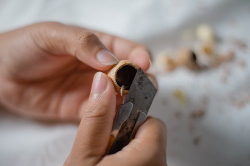 有关不露面, 主, 供應的免费素材图片