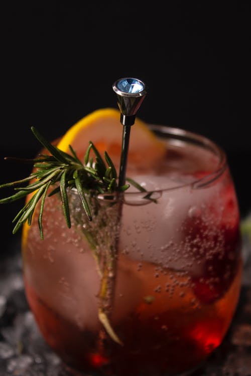 有关冷, 垂直拍摄, 树叶的免费素材图片