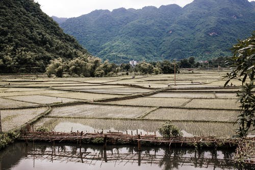 有关农业用地, 山腰, 山谷的免费素材图片