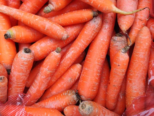 有关可口, 有养分的, 根菜类的免费素材图片