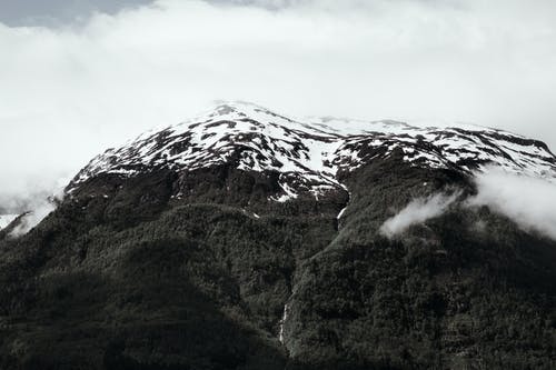有关冬季, 冷, 冷冰的的免费素材图片