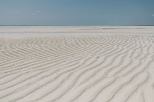 有关不变, 和平的, 地平线的免费素材图片