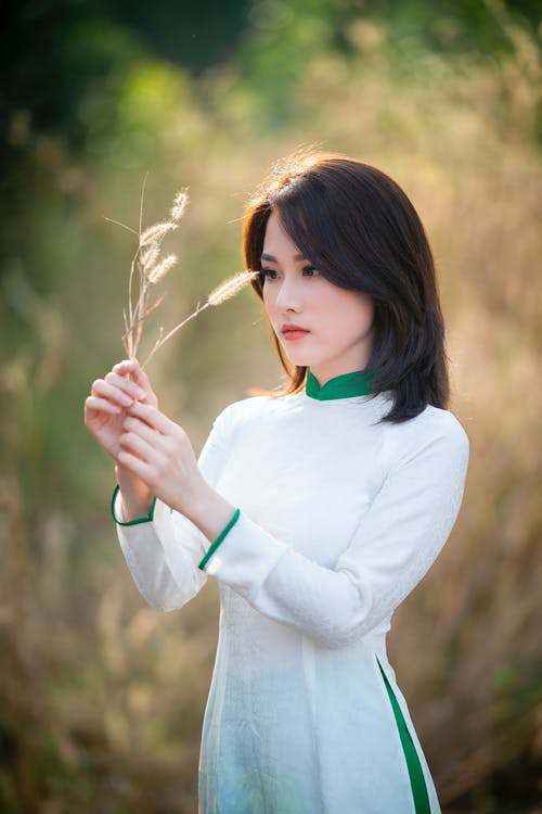 有关个性, 乾的, 冷静的免费素材图片