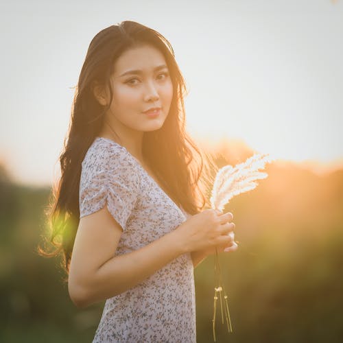 有关不情绪化, 个性, 乾燥的免费素材图片