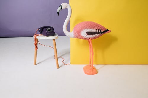 火烈鸟雕像白桌上 · 免费素材图片