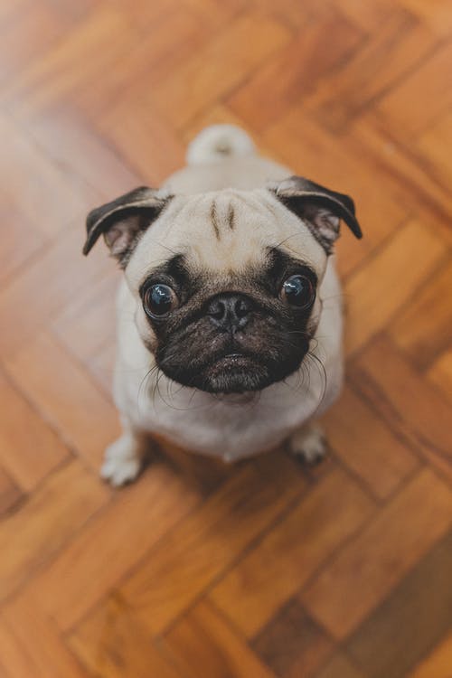 有关光, 公寓, 凝视的免费素材图片